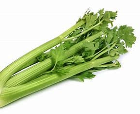 Celery