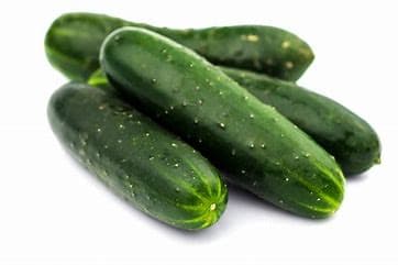 Cucumber