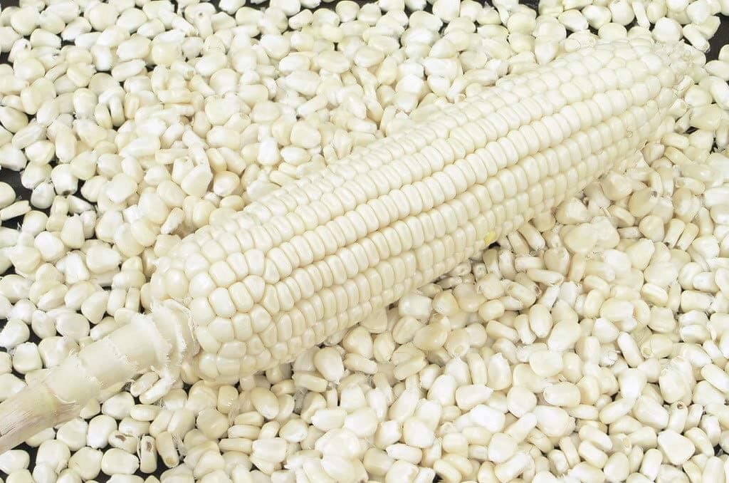 Dry Maize