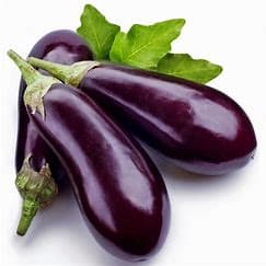 Egg Plant