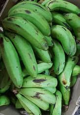 Matoke Bananas