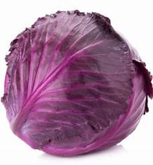 Red Cabbage