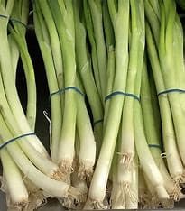 Spring Onions